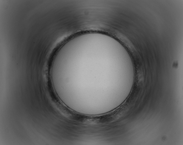 X0000101120680200807172001