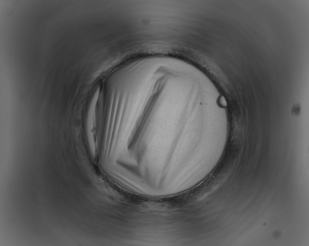 X0000101120681200807172001