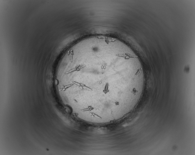 X0000101120683200807172001