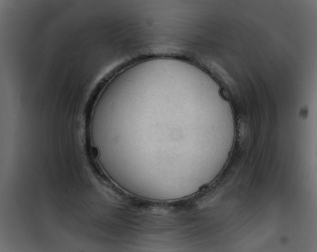 X0000101120684200807172001