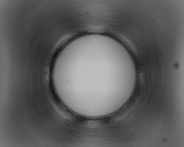 X0000101120686200807172001