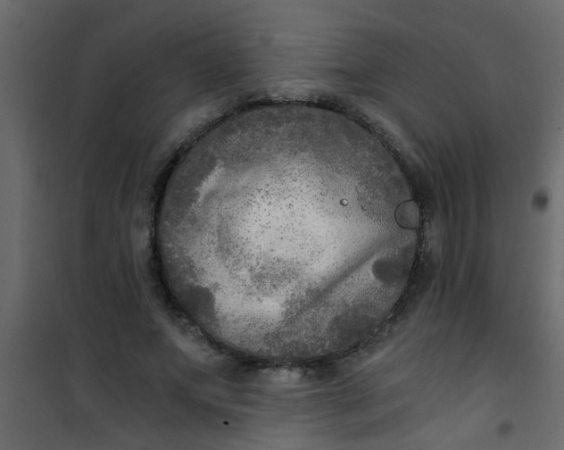 X0000101120687200807172001