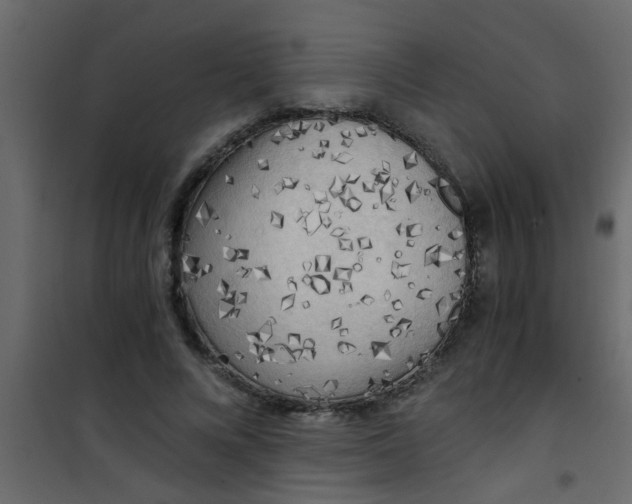 X0000101120688200807172001