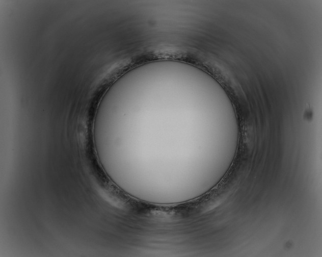 X0000101120690200807172000