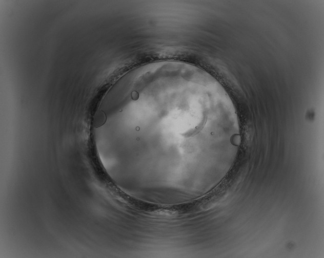 X0000101120691200807172000