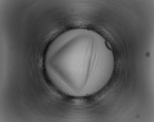 X0000101120693200807172000