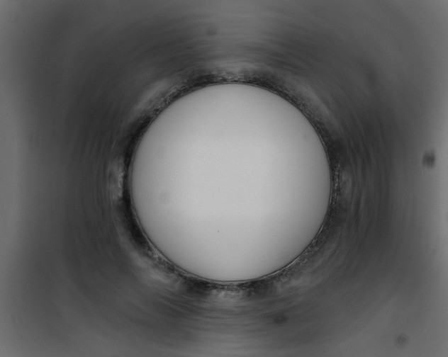 X0000101120694200807172000
