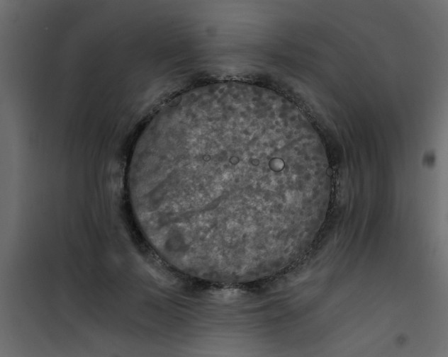 X0000101120695200807172000