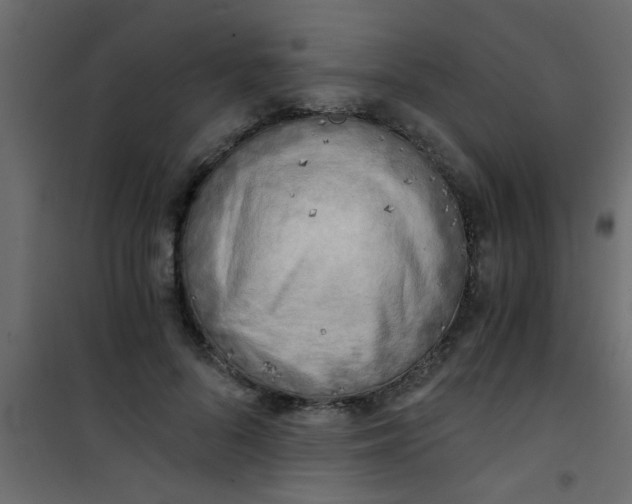 X0000101120696200807172000