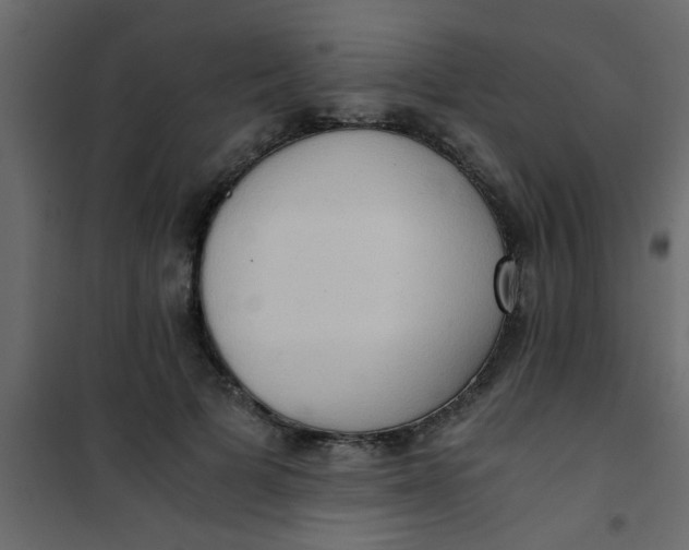 X0000101120697200807172000