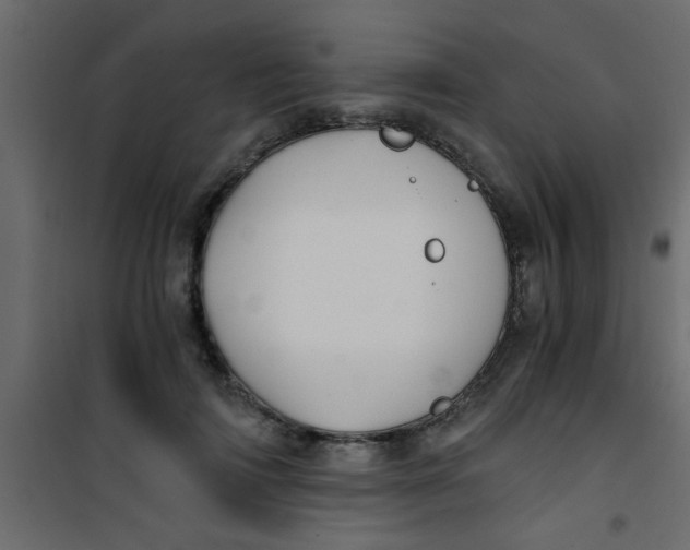 X0000101120698200807172000