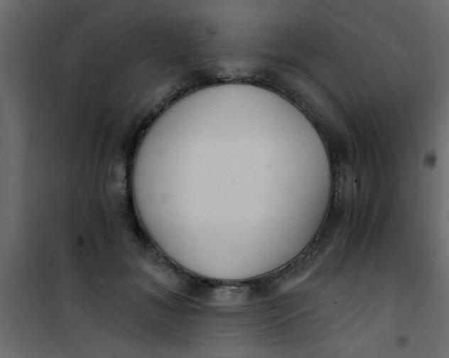 X0000101120700200807172000