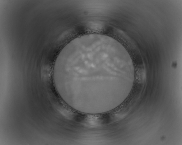X0000101120701200807172000