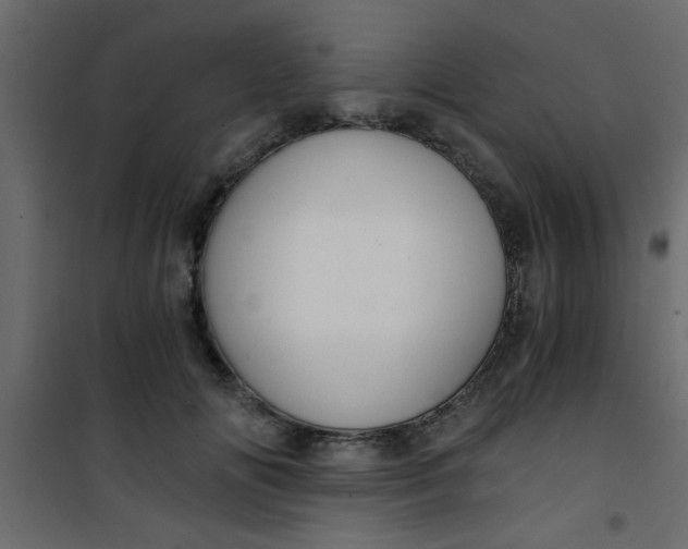 X0000101120702200807172000