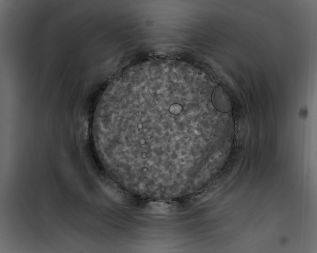 X0000101120703200807172000