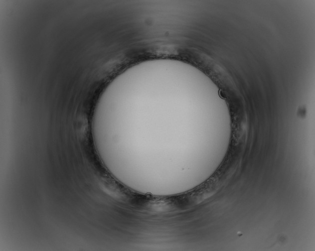 X0000101120704200807172000