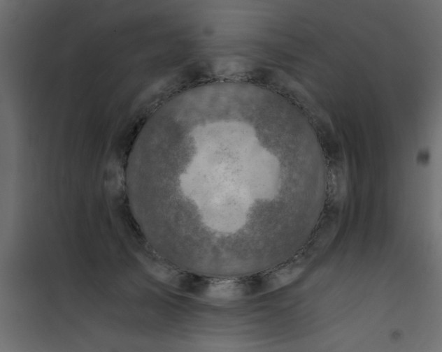 X0000101120705200807172000