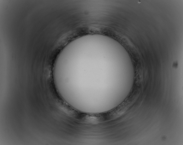 X0000101120706200807172000
