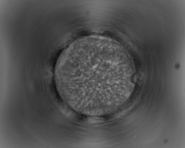 X0000101120707200807172000
