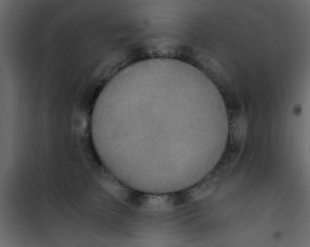 X0000101120709200807172000