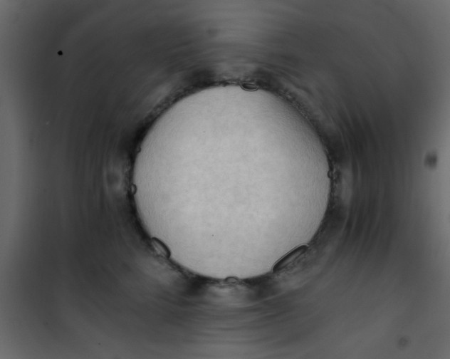 X0000101120712200807172000