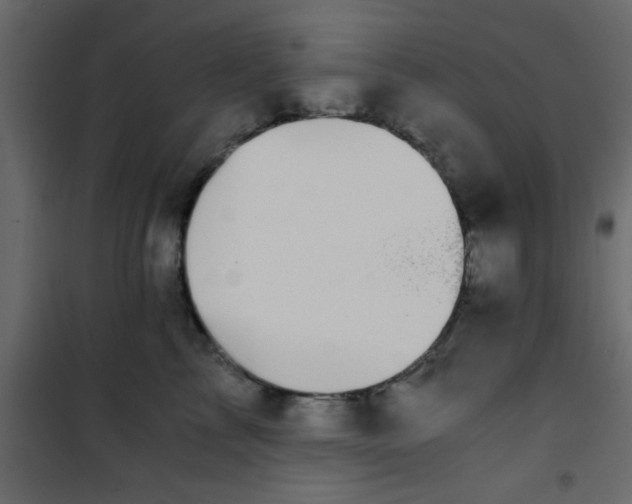 X0000101120713200807172000