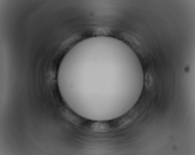 X0000101120714200807172000