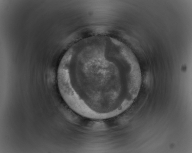 X0000101120715200807172000