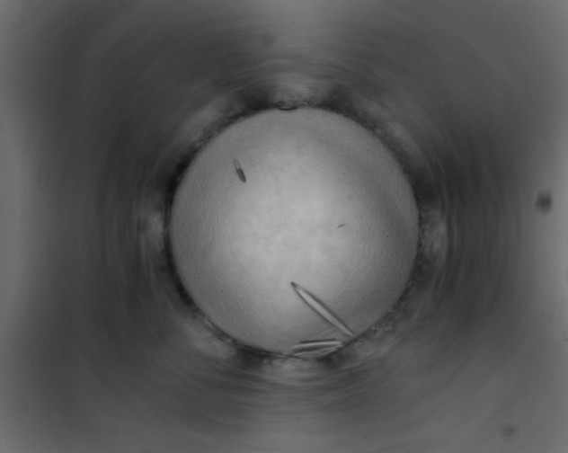 X0000101120716200807172000