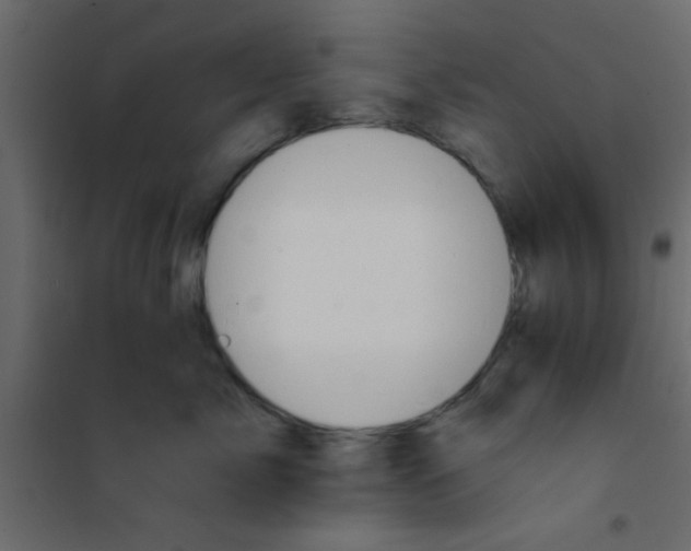 X0000101120717200807172000