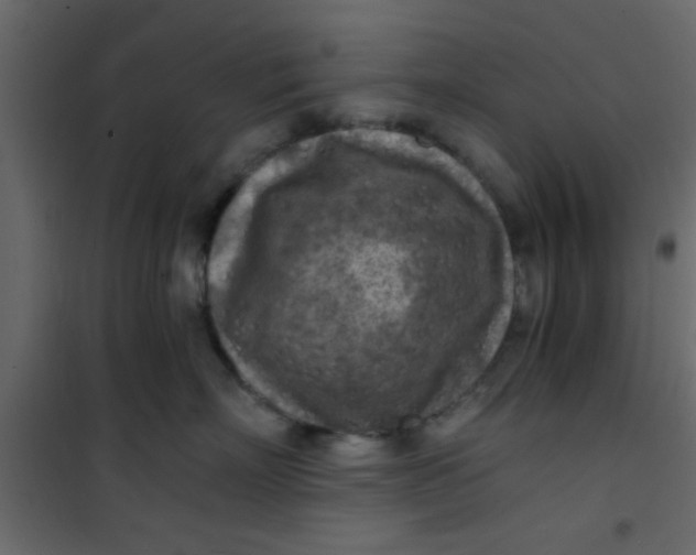 X0000101120718200807172000