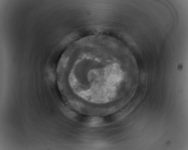 X0000101120719200807172000