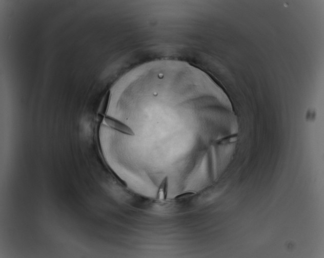 X0000101120720200807172000