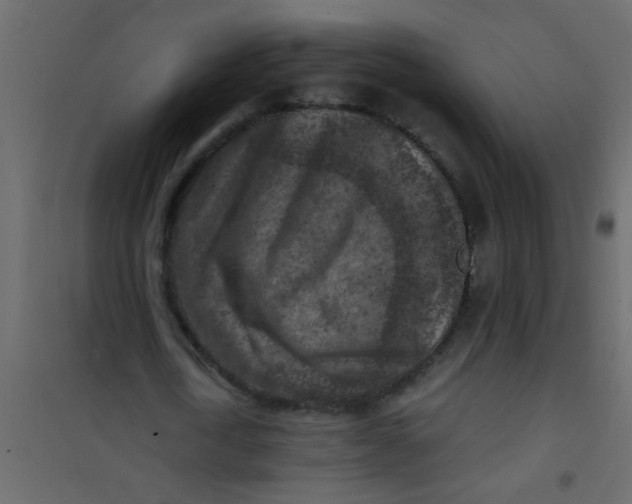 X0000101120722200807171959