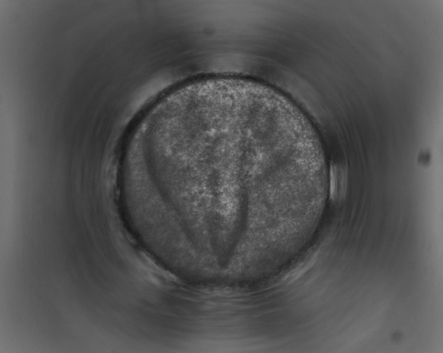 X0000101120723200807171959
