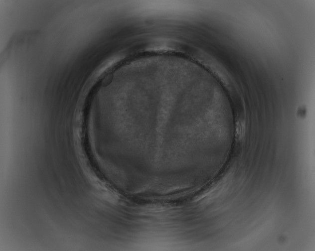 X0000101120724200807171959