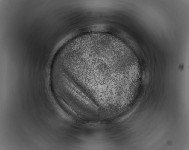 X0000101120725200807171959