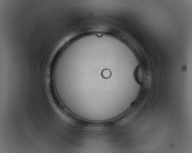 X0000101120726200807171959