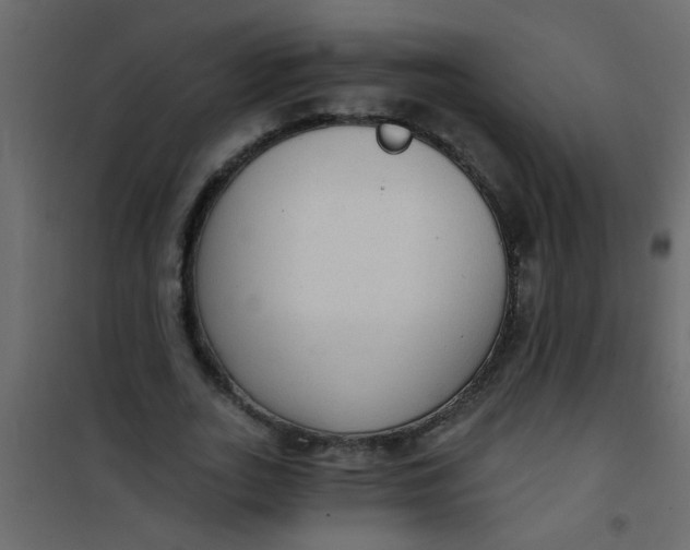 X0000101120727200807171959