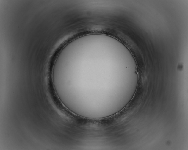 X0000101120728200807171959