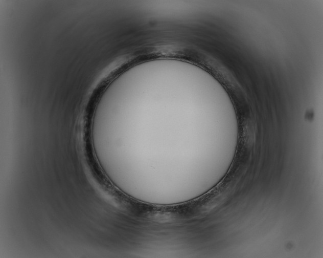 X0000101120730200807171959