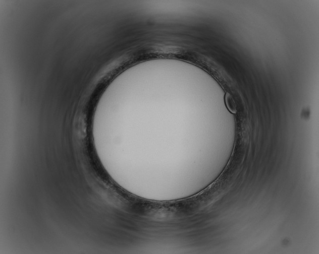 X0000101120731200807171959