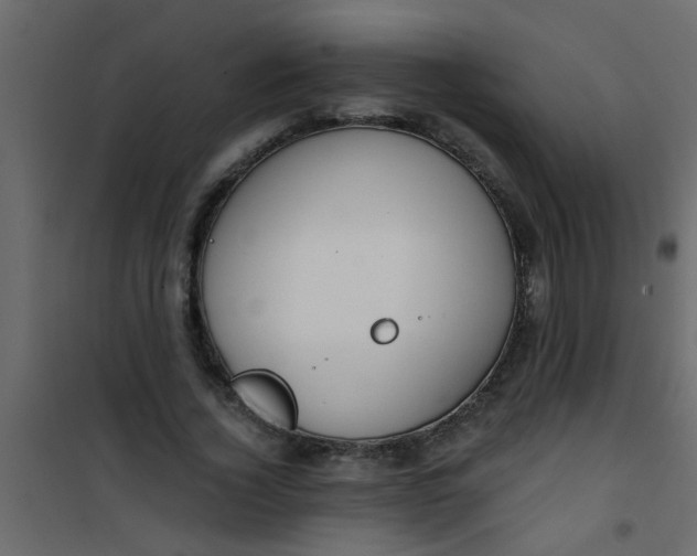X0000101120732200807171959
