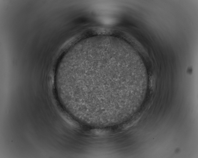 X0000101120733200807171959