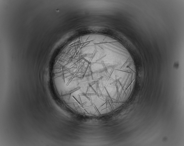 X0000101120734200807171959