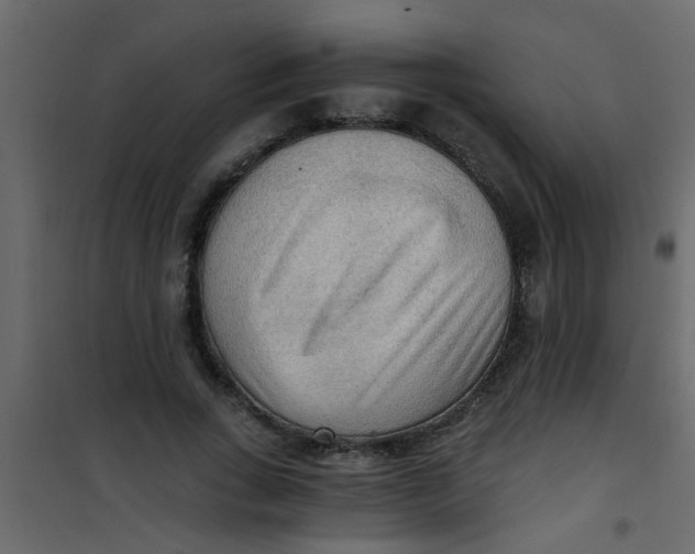 X0000101120735200807171959