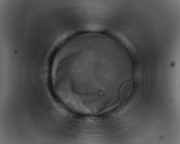 X0000101120736200807171959
