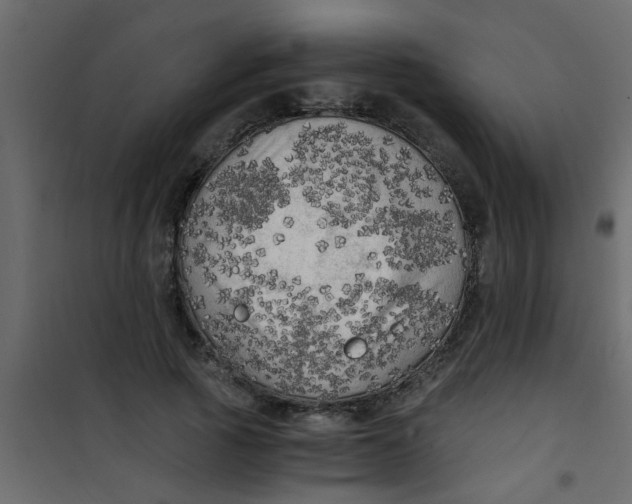 X0000101120737200807171959