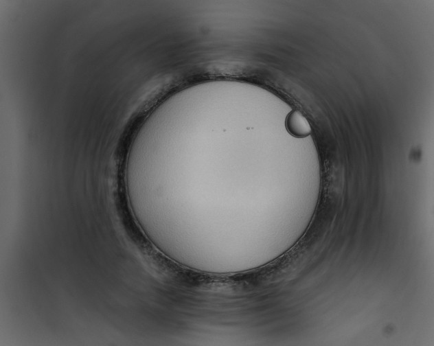 X0000101120738200807171959