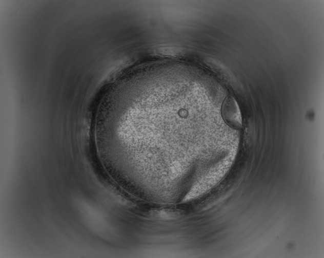 X0000101120739200807171959